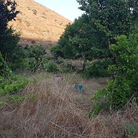 Villa Κυθνος Δρυοπίδα, Στούντιο Χατζής Dhriopís Esterno foto